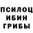 Псилоцибиновые грибы мицелий Nick Wingate