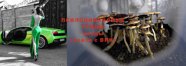 трава Алзамай