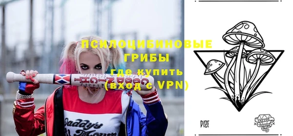 молекула духа Алексин